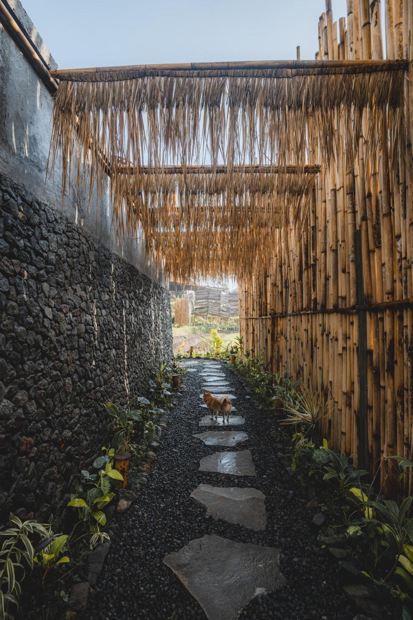 Villa Nivriti Bali Sidemen  Esterno foto